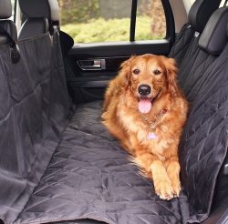 Best Truck Seat Covers For Pets My Truck Needs This